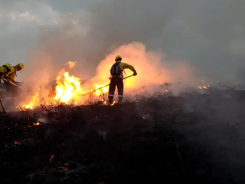 Northumberland Fire Service Selected as National Wildfire Response Team