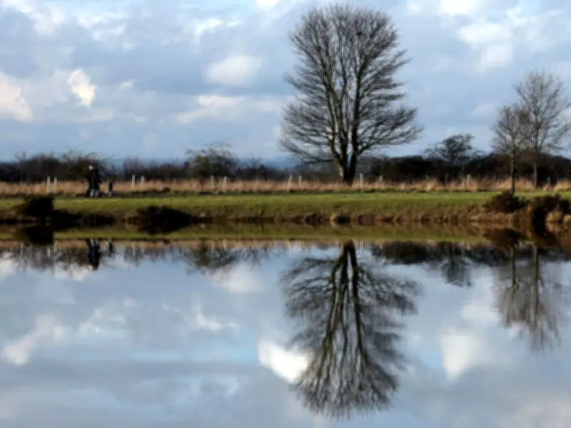 Northumberland Wildlife Trust Hosts Big Wild Saturday to Disconnect from Digital Life