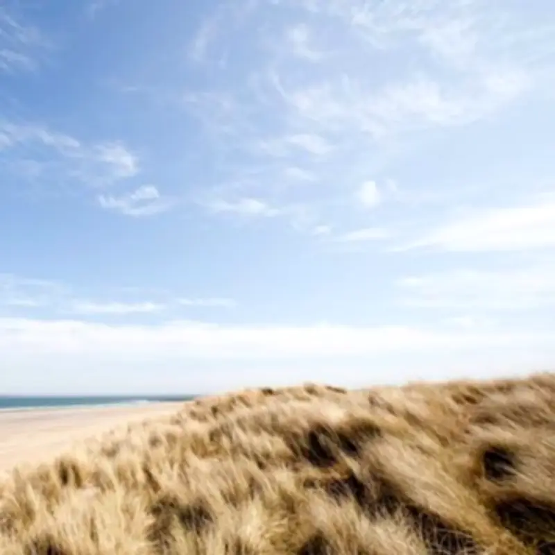 Northumberland's Ross Back Sands Named One of England's Most Spectacular Beaches
