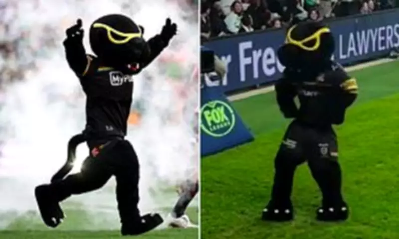 NRL Fans Think Brian To'o Is Panthers Mascot Claws in Viral Conspiracy Theory