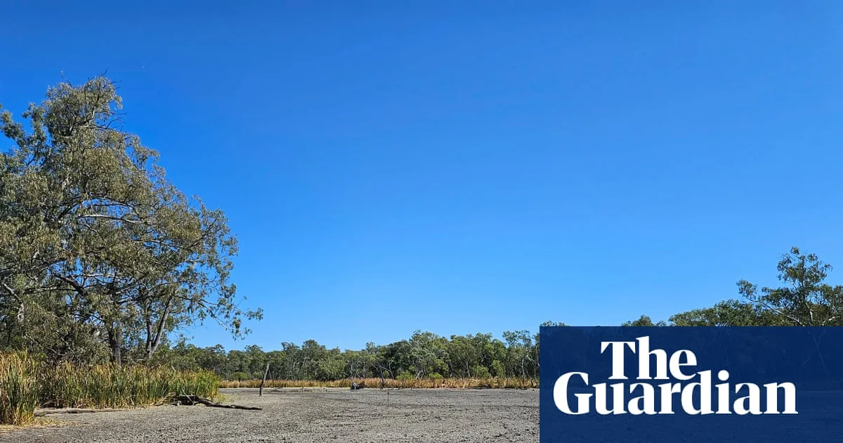 Environmental Flows May Resume After Turtle Deaths in NSW Wetlands