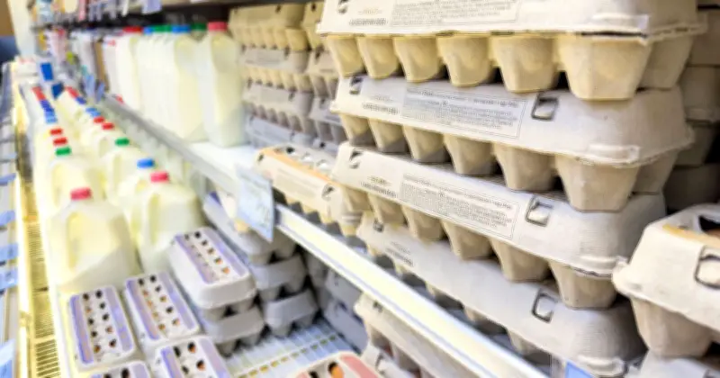 Nutritionist Advises Shoppers to Check Little-Known Code on Eggs Before Buying