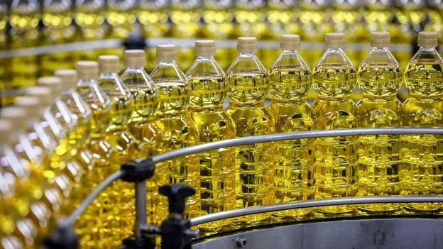 Nutritionists Rank Healthiest Cooking Oils: Olive and Vegetable Oils Top List, Coconut Oil 'Pure Poison'