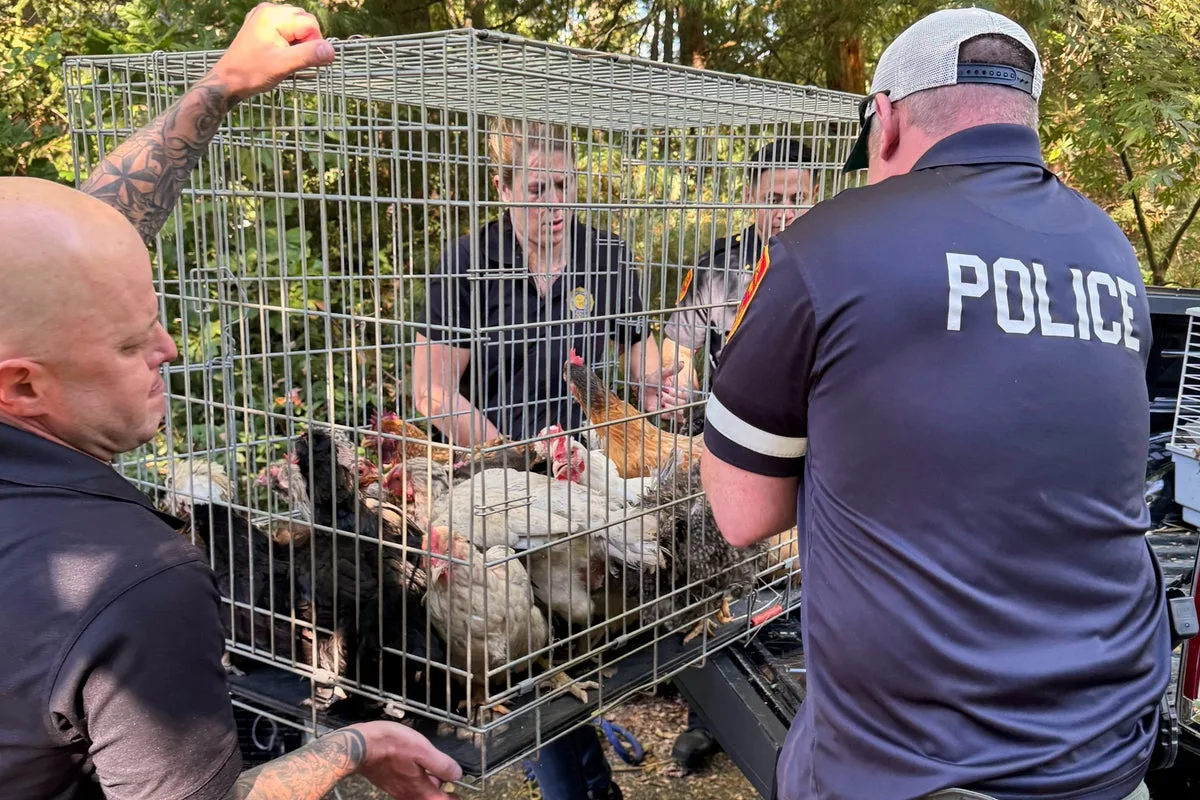 Over 200 Animals Rescued from Squalid New York Home, Elderly Woman Found Trapped
