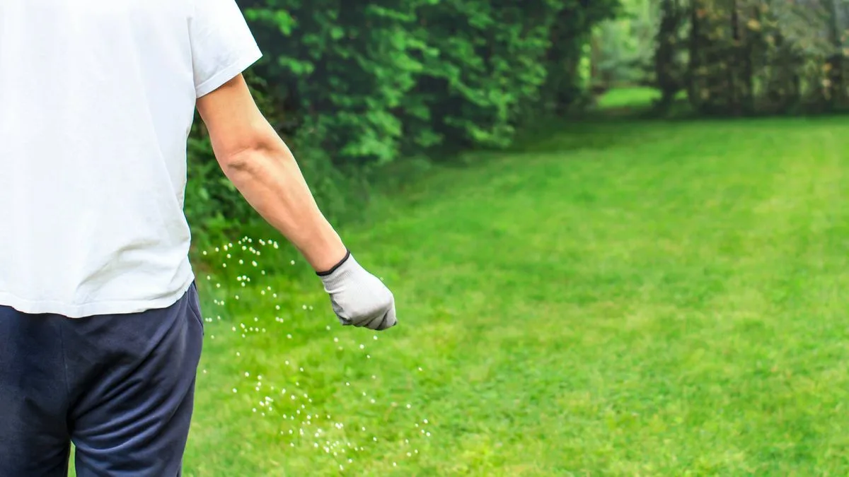 Iron Sulphate: The Mineral to Transform Your Lawn and Banish Moss