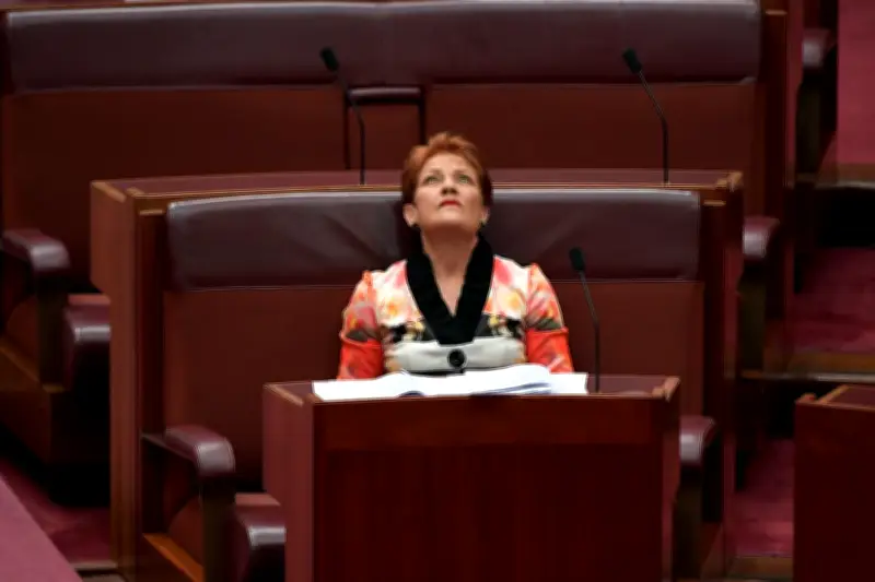 One Nation's 'sloppy' reports show $1m in missing assets
