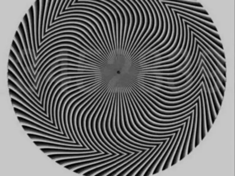 Optical Illusion Sparks Online Debate Over Hidden Numbers