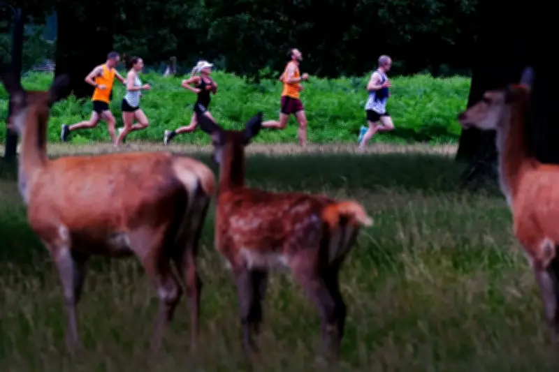 Parkrun Founder Says Million Events Never in the Plan as Milestone Nears