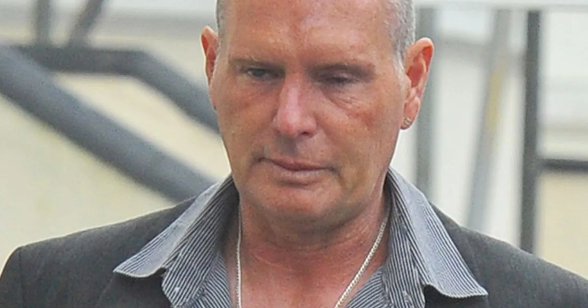 Paul Gascoigne Urged by Celebrity Friends to Stay Sober After Rehab