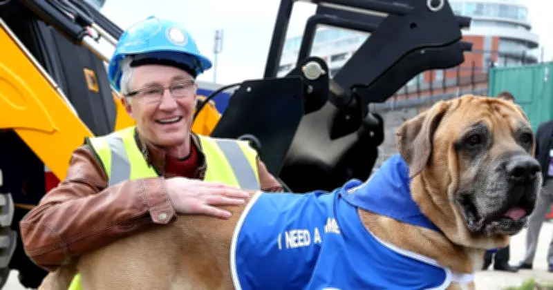 Paul O'Grady's Beloved Animals: Where They Are Three Years After His Death