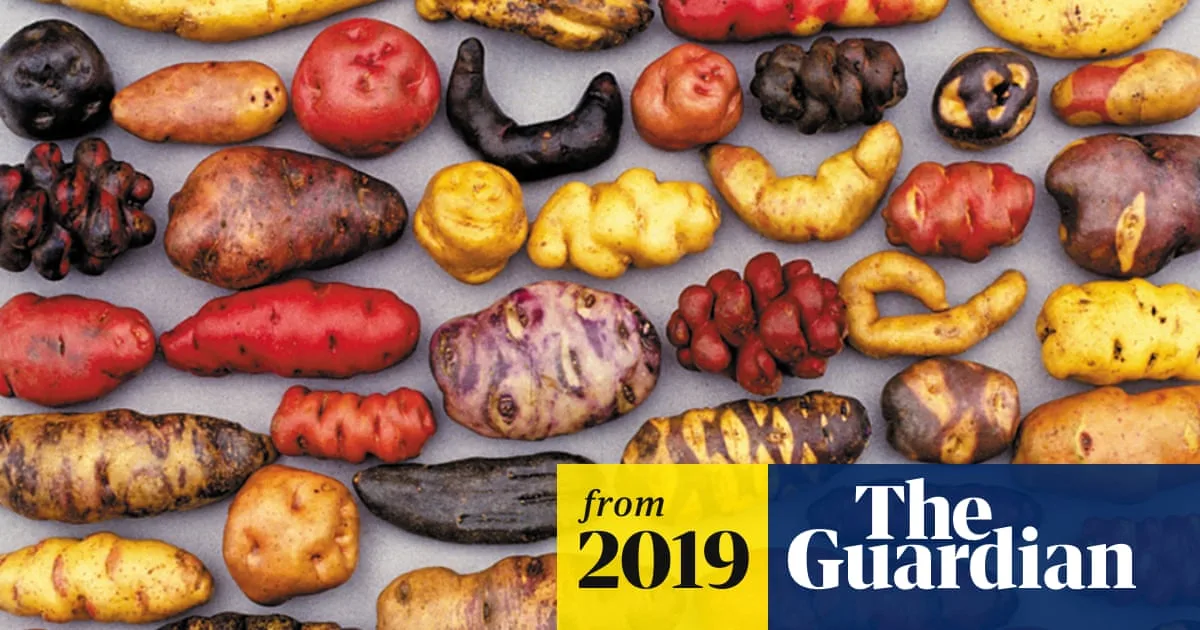 Peru's Potato Guardians Fight Climate Change to Protect Tubers