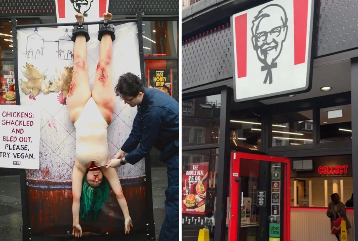 PETA Stages Graphic Chicken Slaughter Protest At London KFC