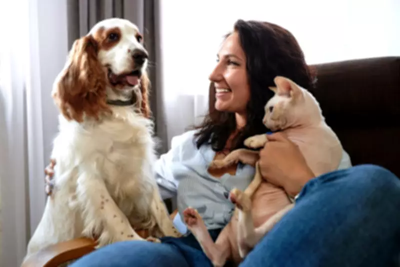 Pets Boost Happiness but Also Bring Stress, Experts Warn