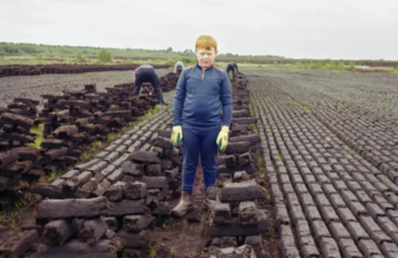 Photographer Explores Tension Between Peat Bogs' Role and Environmental Impact in Ireland