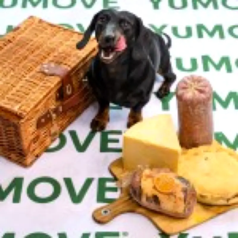 Picnic Foods That Add Hundreds of Calories to Your Dog's Diet