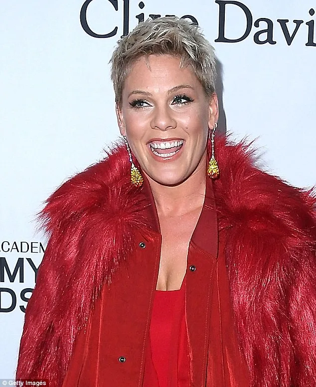 Pink Cancels Detroit Concert Due to Flu, Apologises to Fans