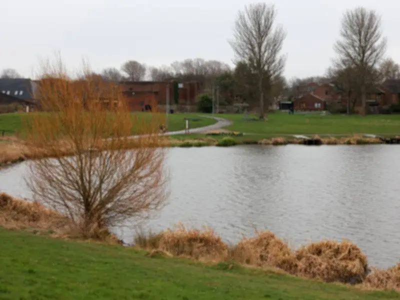 Pit Bull-Type Dog Destroyed After Attack at Hemlington Lake Leaves Woman and Pet Injured