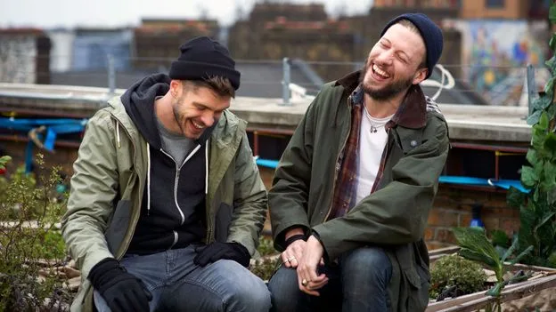Platonic Life Partners: A New Form of Companionship