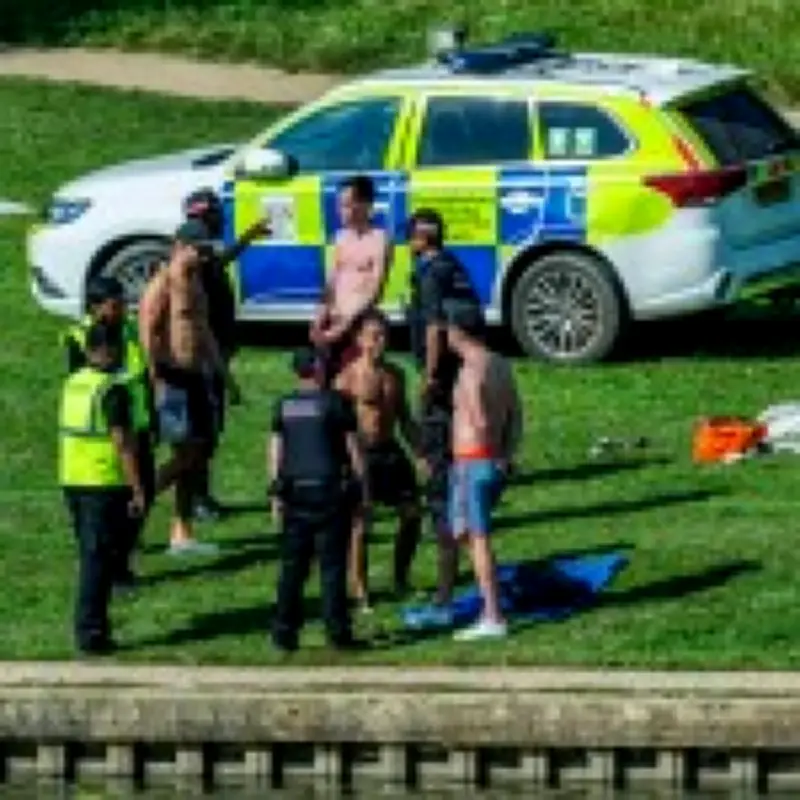 Police Called on Swimmers Cooling Off with Swans in Hampstead Heath Pond