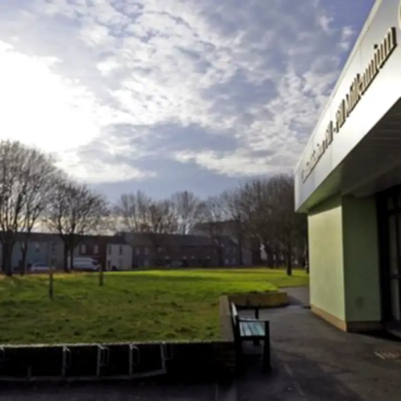 Police Investigate Dog Attack on 10-Year-Old in Newport