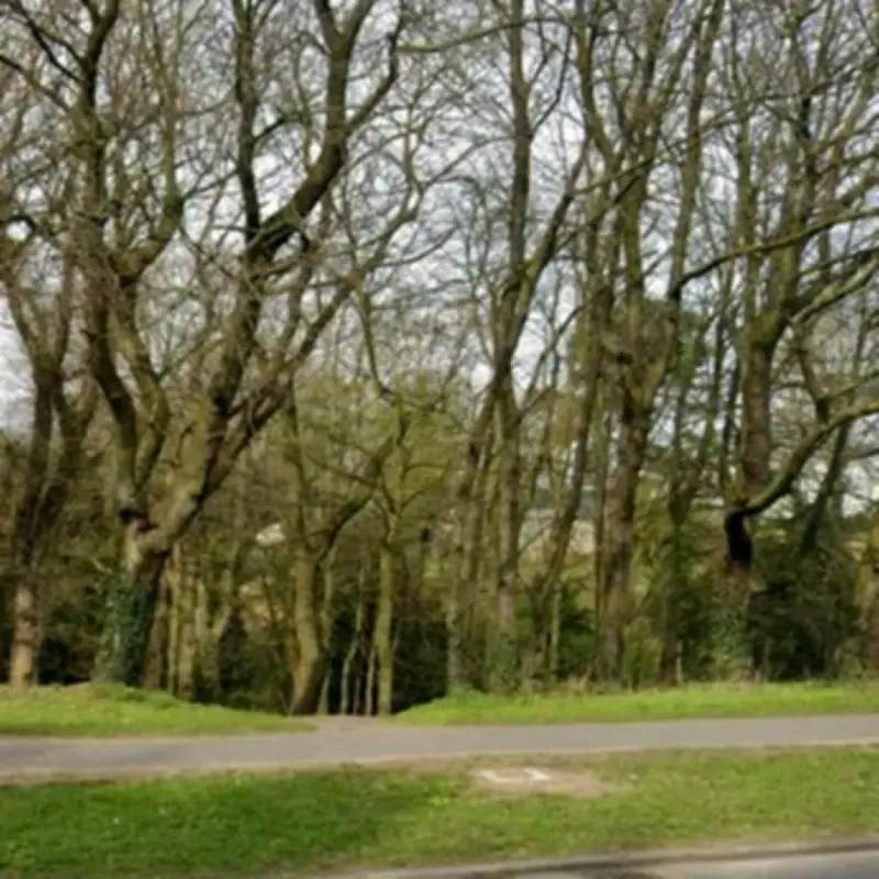 Police Probe After Two Men Demand Info from Victim in Peterlee Wood