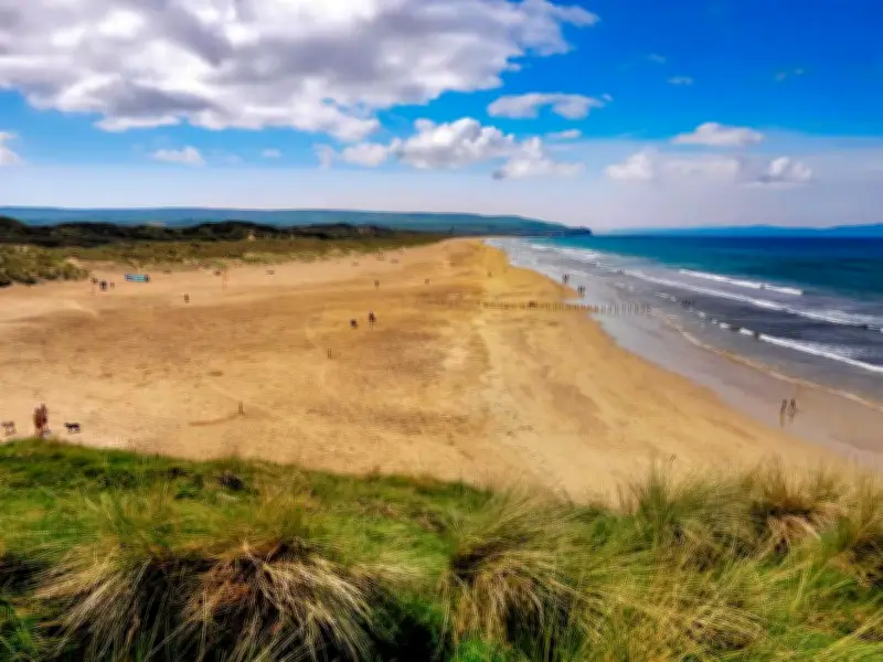Police Respond to 'Knife' Reports at Beach, Find Barbecue Prep