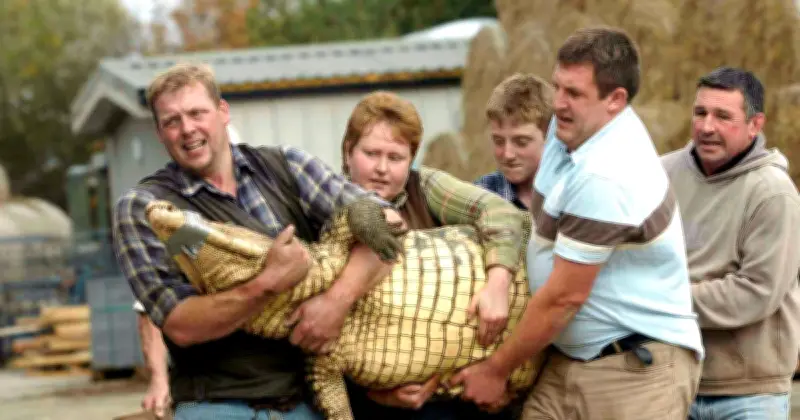 Police Review CCTV After Boy Thrown Into Crocodile Enclosure