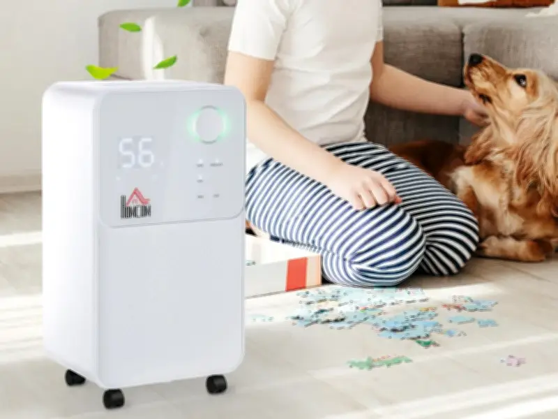 Portable Dehumidifier Cheaper Than Amazon Prime Day Deal During Heatwave