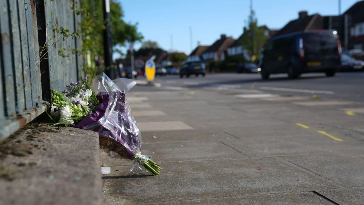 Pregnant Woman and Unborn Baby Die in London Police Car Crash