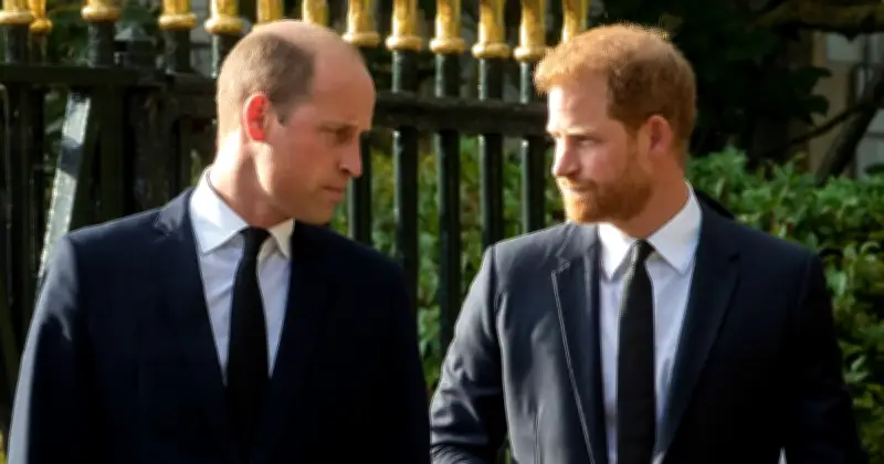Prince Harry Predicts 'Royal Disaster' When William Becomes King, Expert Says