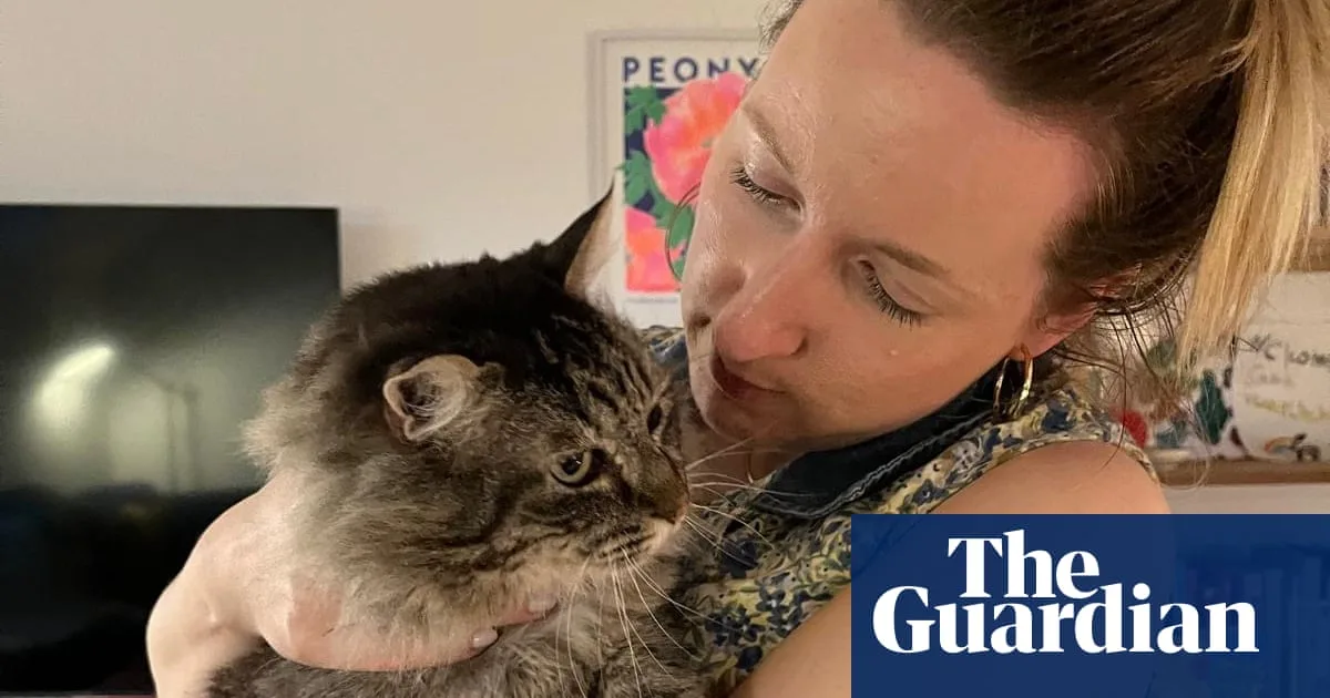 Puppy Blues: Owners Struggle With Unaffectionate New Pets