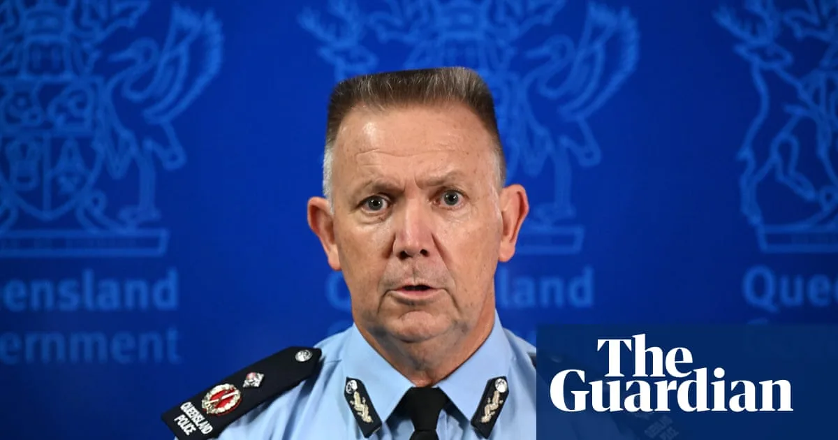 Domestic violence case management not 'core business' of police, Queensland's top cop says