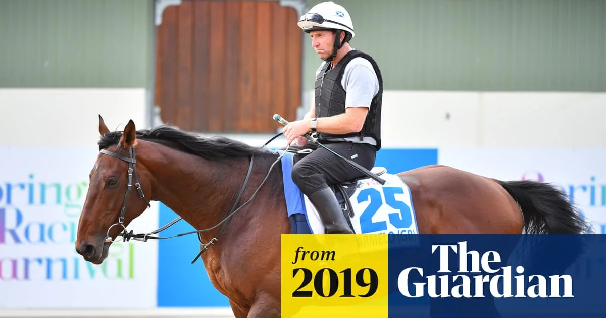 Trainer to Appeal After Marmelo Withdrawn from Melbourne Cup Due to Fractures
