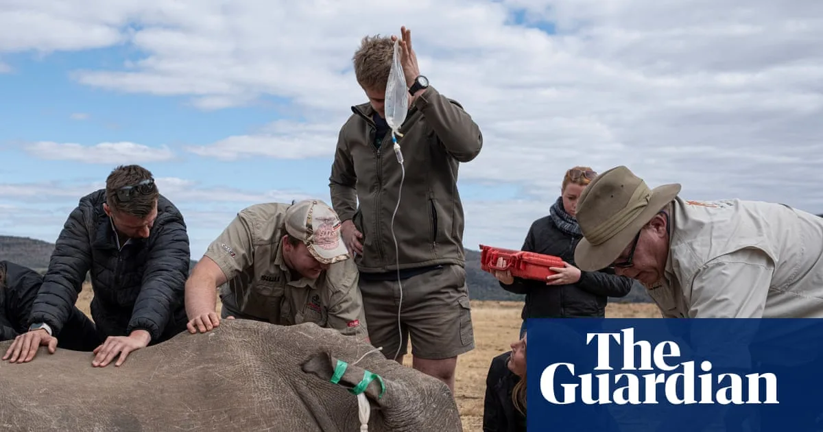 Radioactive Isotopes Injected Into Rhino Horns To Stop Poaching