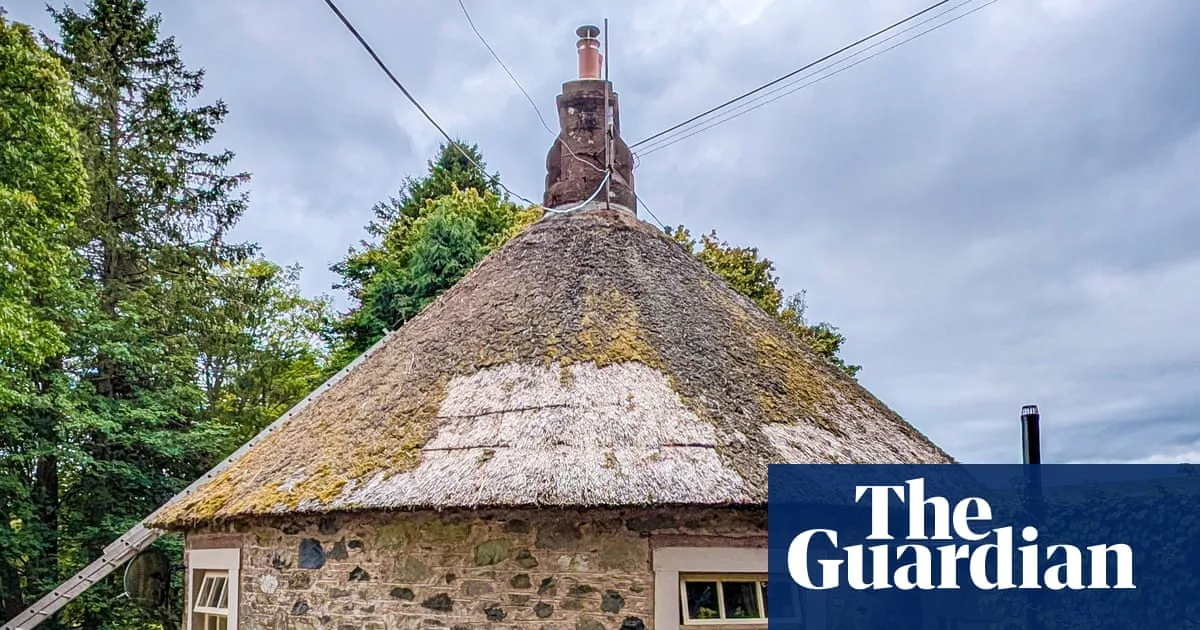 Rare Highland Thatched Roof A Vanishing Ecosystem