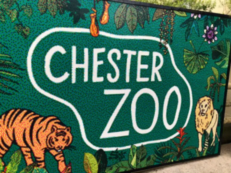 Rare Northern Giraffe Arrives at Chester Zoo for Matchmaking