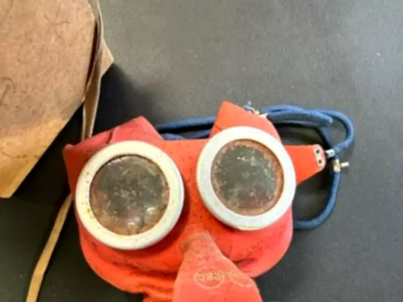 Rare Walt Disney WWII Mickey Mouse Gas Mask Found After 80 Years