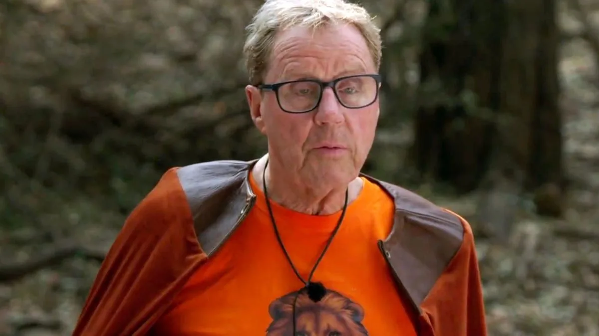 Ashley Roberts Takes Blame for Harry Redknapp's Name Mix-Up on I'm a Celebrity