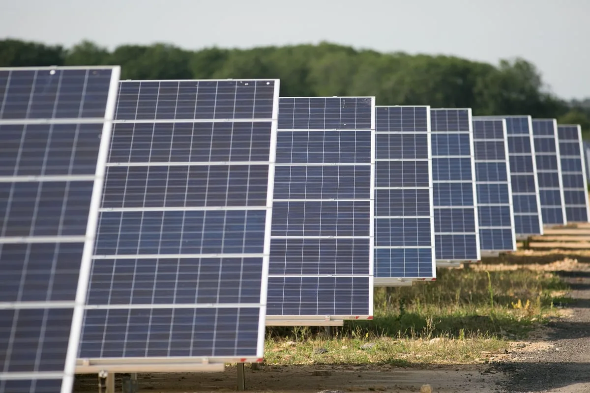 Reform MP Calls Net Zero 'Economic Madness' as Government Accused of Being Out of Touch