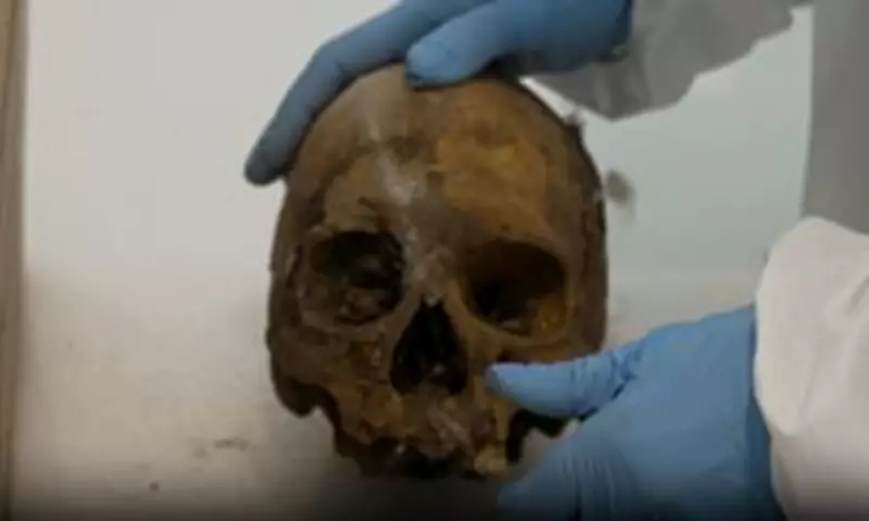 Remains of 14th Century Queen Elisenda of Montcada Unearthed in Spain
