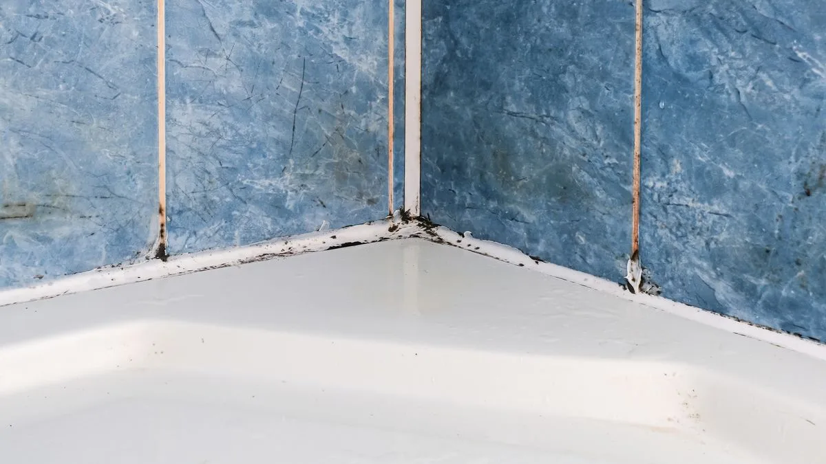 Remove Black Mould From Silicone Sealant in 5 Minutes Using Baking Soda