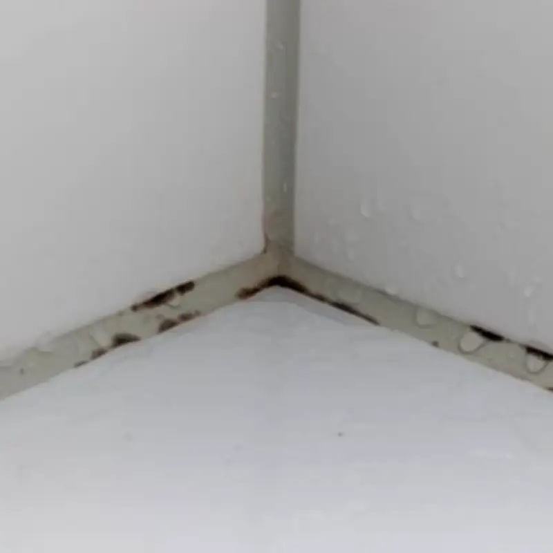 Remove Black Mould from Silicone Sealant with 65p Natural Item