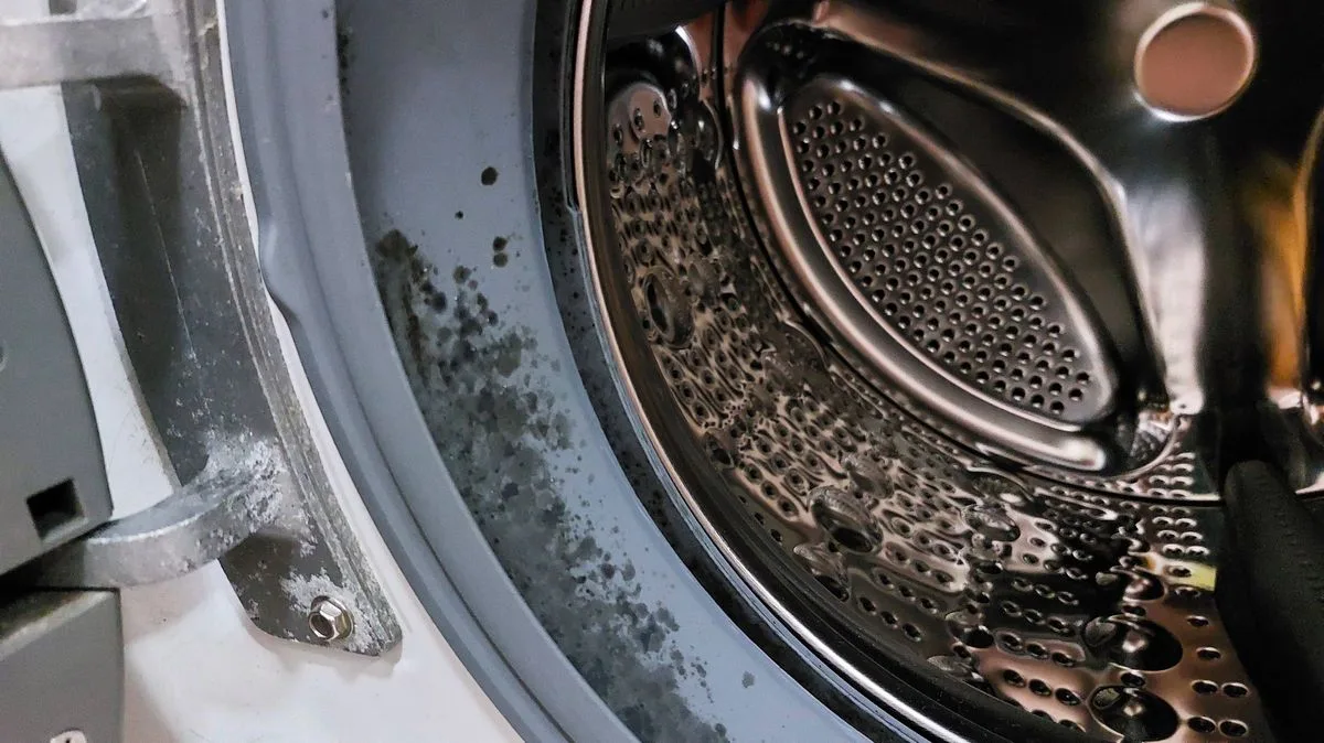 Remove Black Mould From Washing Machine Seal In 15 Minutes Without Bleach
