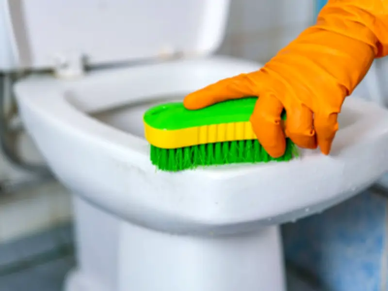 Remove Brown Toilet Stains with 87p Denture Tablets Cleaning Hack