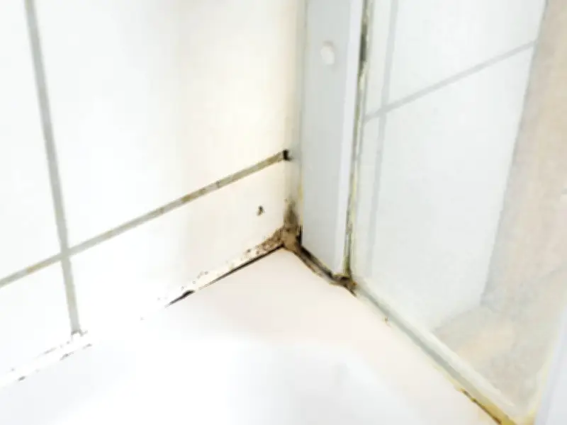 Remove Mould from Silicone Sealant with 65p Baking Soda