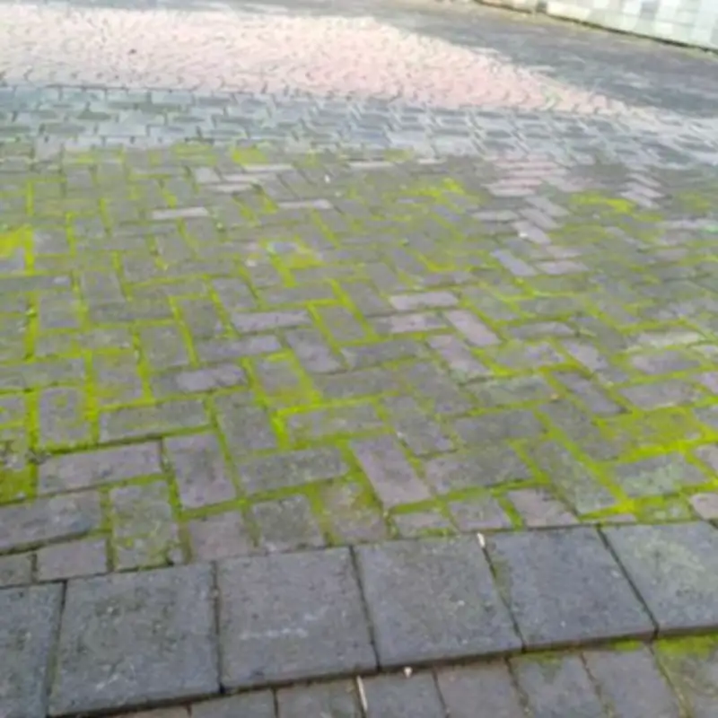 Remove patio algae in 5 mins with 2 natural ingredients