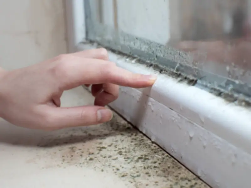 Remove Window Sill Mould with Two Common Kitchen Items