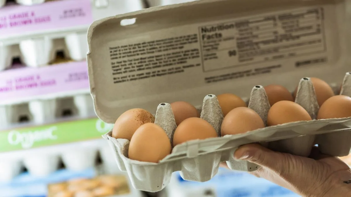 Gardener reveals clever ways to repurpose egg boxes and plastic bottles in the garden