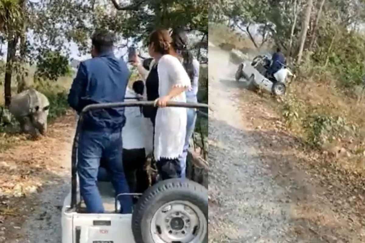Rhino Charges Safari Jeep in Indian Park, Injuring Six