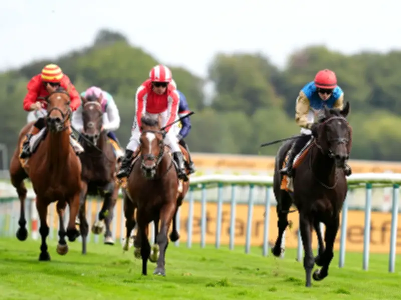 Ride The Thunder can win Northumberland Plate at Newcastle on Saturday